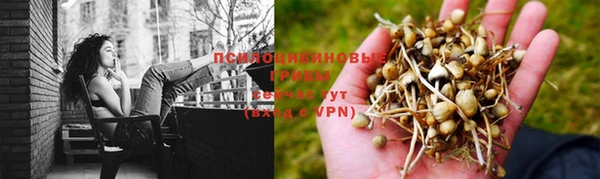 дмт Кукмор
