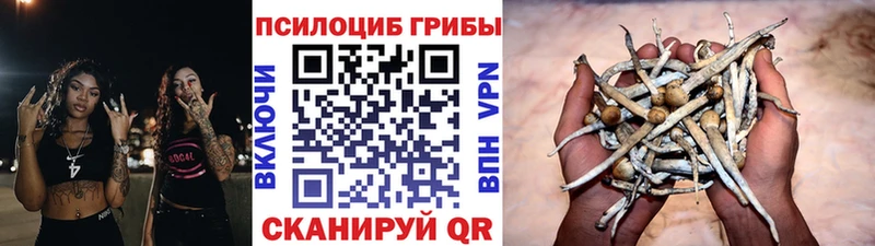 Псилоцибиновые грибы мицелий  Севск 
